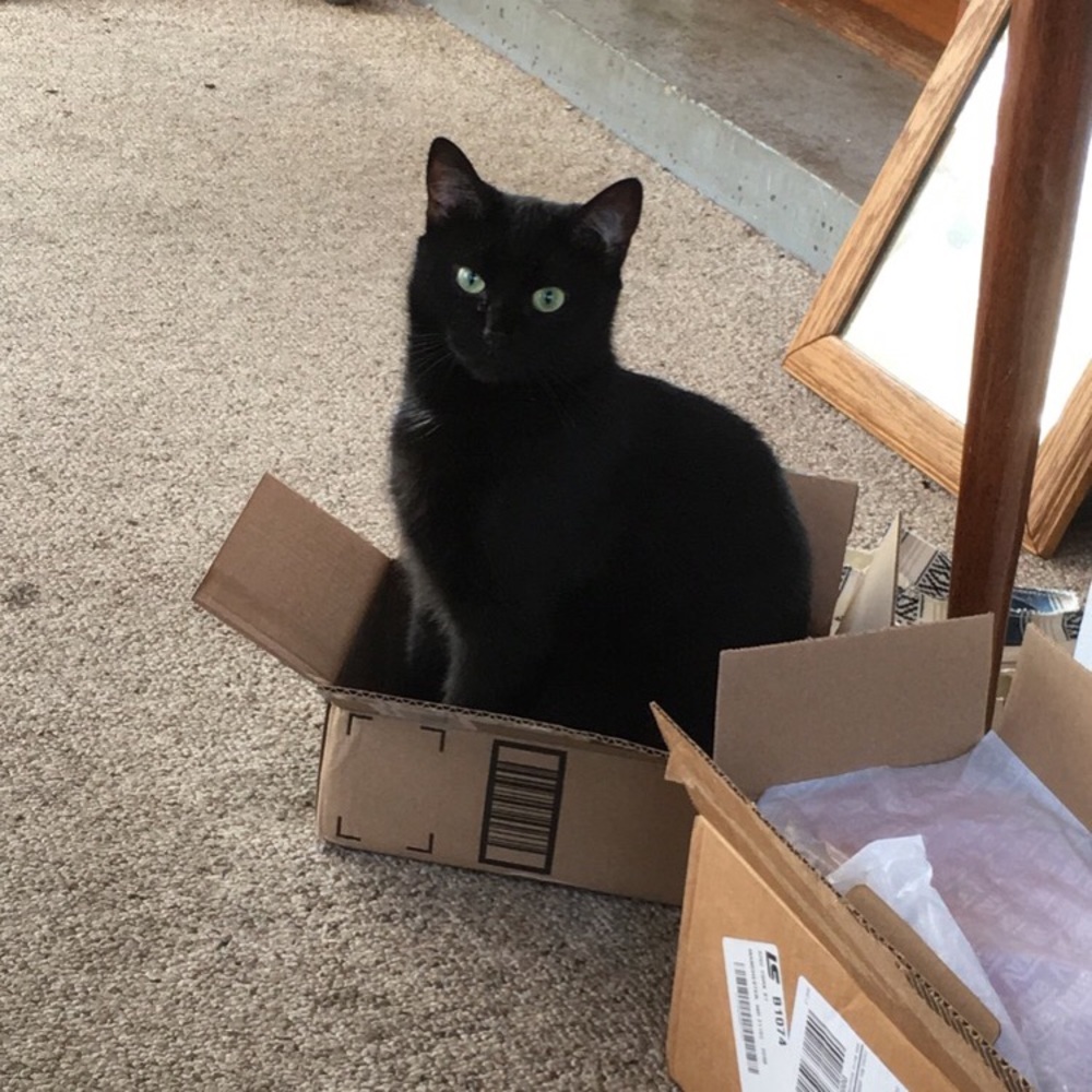 Meet your Posher, Alexis